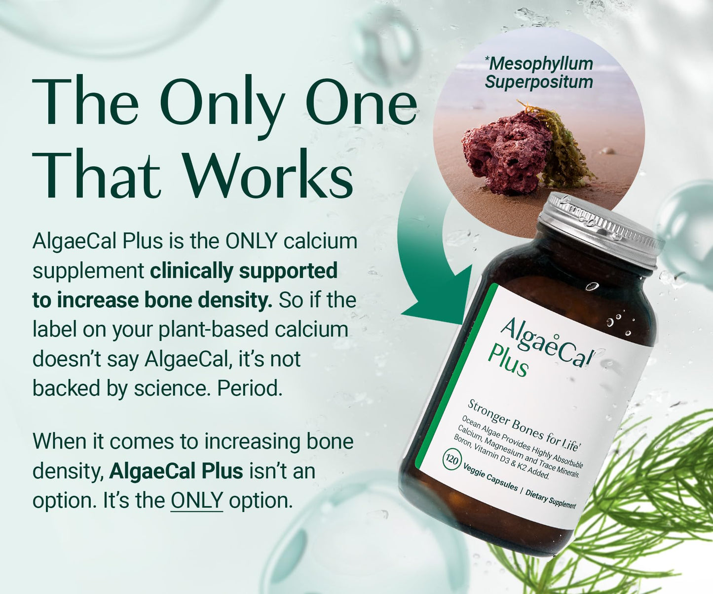 ALGAECAL Organic Red Algae Calcium Supplement for Bone Density & Strength, Vitamin K2 MK7 (100mg), Vitamin D3 (1600 IU), Magnesium (350mg) & Trace Minerals, Easy to Swallow, 120 Veggie Caps