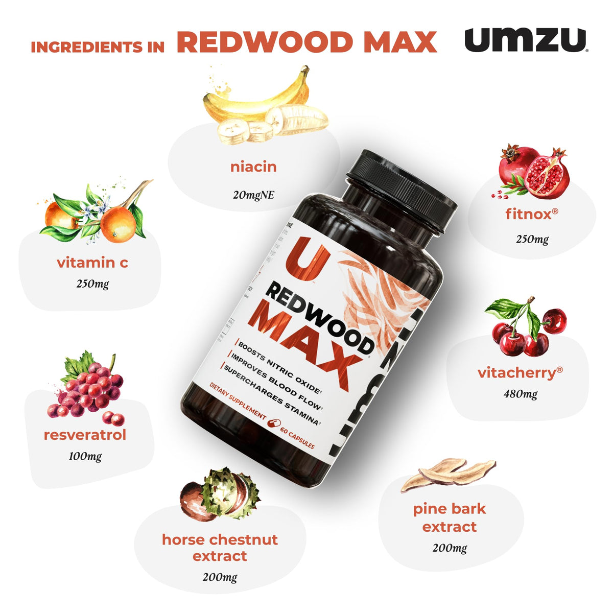UMZU Redwood Max Nitric Oxide Booster, 1-Month Supply – Advanced Nitric Oxide Supplement with Fitnox Blend, Pine Bark, Resveratrol & Tart Cherry – Promotes Healthy Circulation, Energy and Recovery