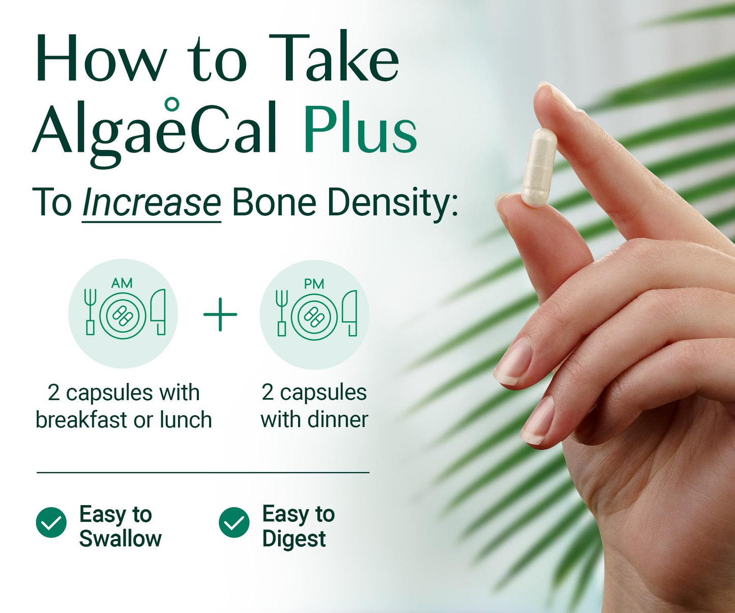 ALGAECAL Organic Red Algae Calcium Supplement for Bone Density & Strength, Vitamin K2 MK7 (100mg), Vitamin D3 (1600 IU), Magnesium (350mg) & Trace Minerals, Easy to Swallow, 120 Veggie Caps