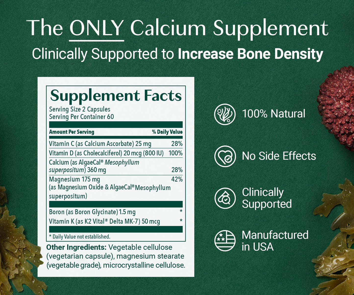 ALGAECAL Organic Red Algae Calcium Supplement for Bone Density & Strength, Vitamin K2 MK7 (100mg), Vitamin D3 (1600 IU), Magnesium (350mg) & Trace Minerals, Easy to Swallow, 120 Veggie Caps