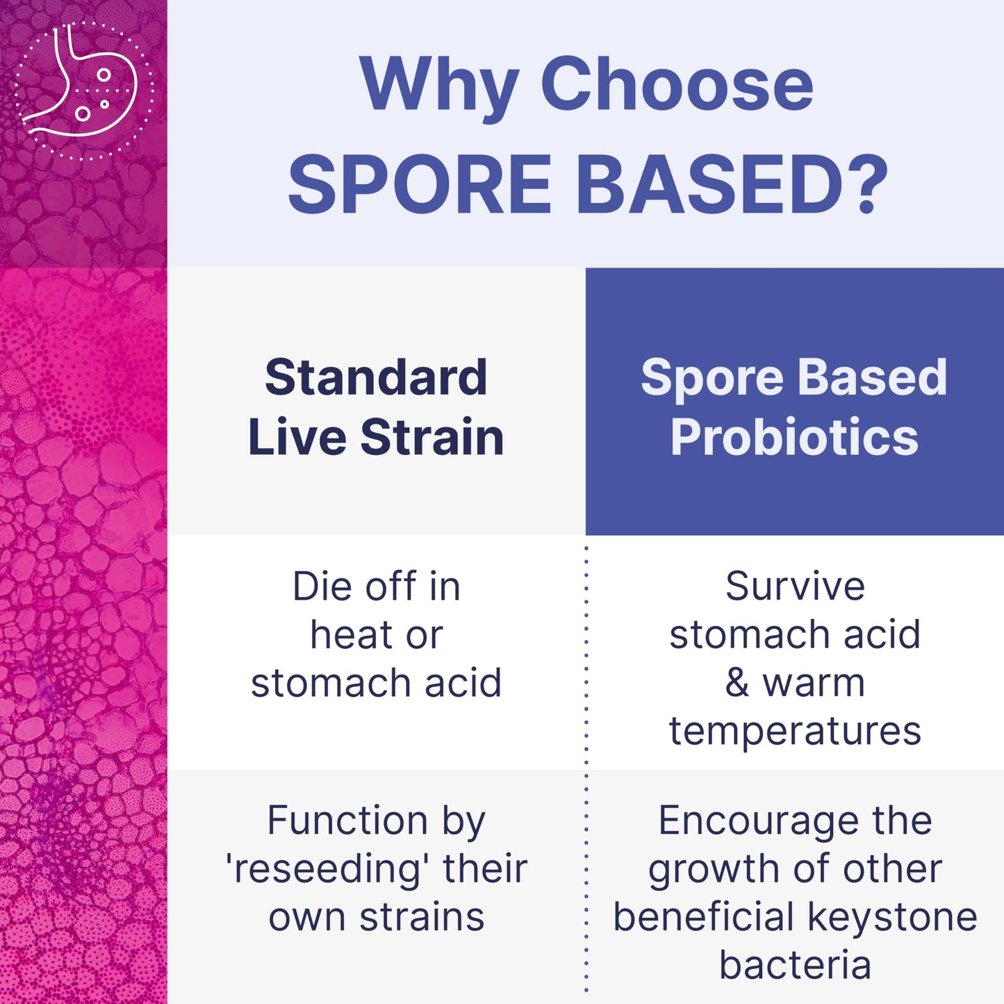 Microbiome Labs MegaSporeBiotic – Spore-Based Probiotics for Digestive Balance, Gut & Immune Support – Shelf Stable, Travel-Friendly – 180 Capsules