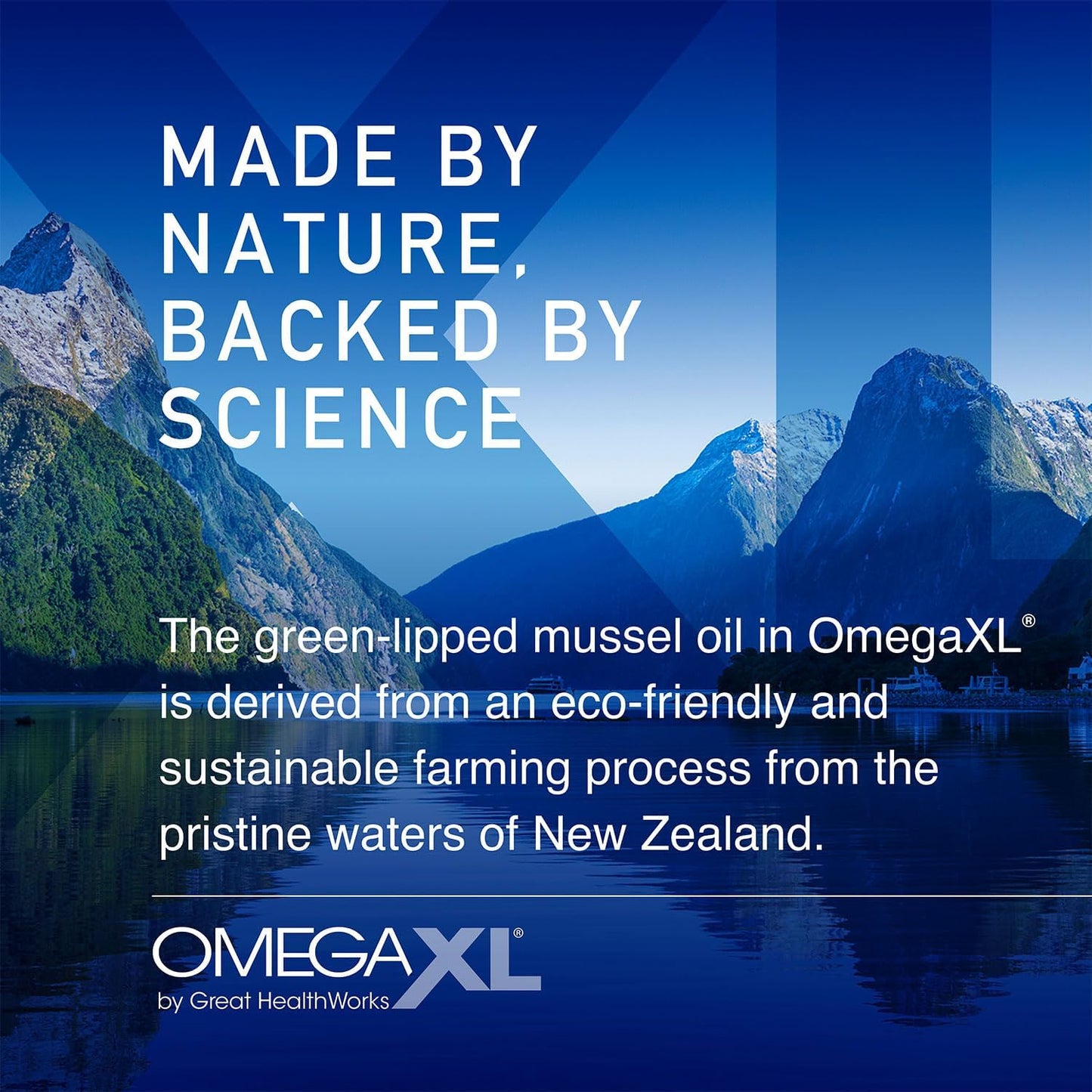 OmegaXL Joint Support Supplement - Natural Muscle Support, Green Lipped Mussel Oil, Soft Gel Pills, Drug-Free, 60 Count (2 Pack)